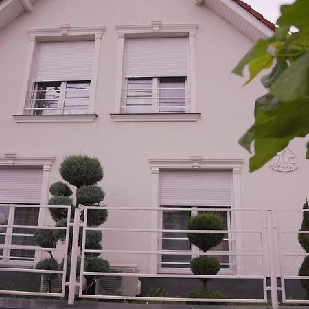 Vivo House Bed and Breakfast Târgu-Mureş Eksteriør billede