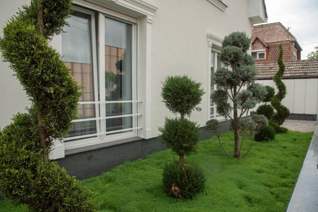 Vivo House Bed and Breakfast Târgu-Mureş Eksteriør billede