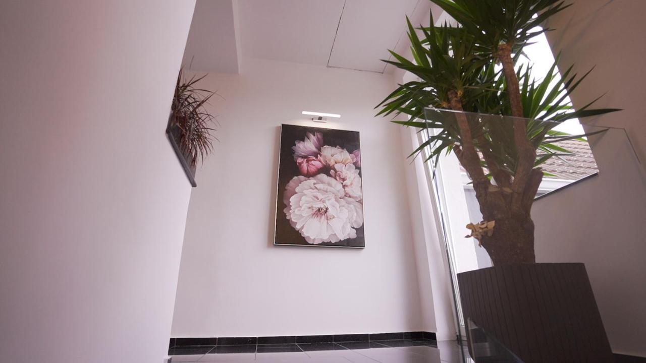 Vivo House Bed and Breakfast Târgu-Mureş Eksteriør billede